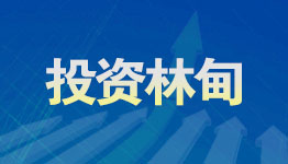 投資林甸